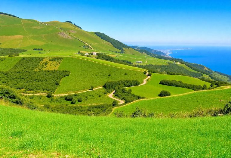 1216x832 03 12 00 33 705671646