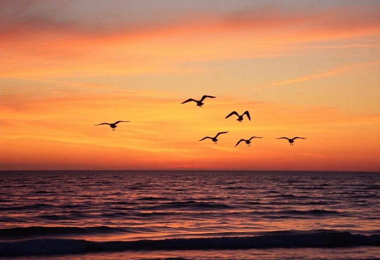 1216x832 04 18 00 33 741337250