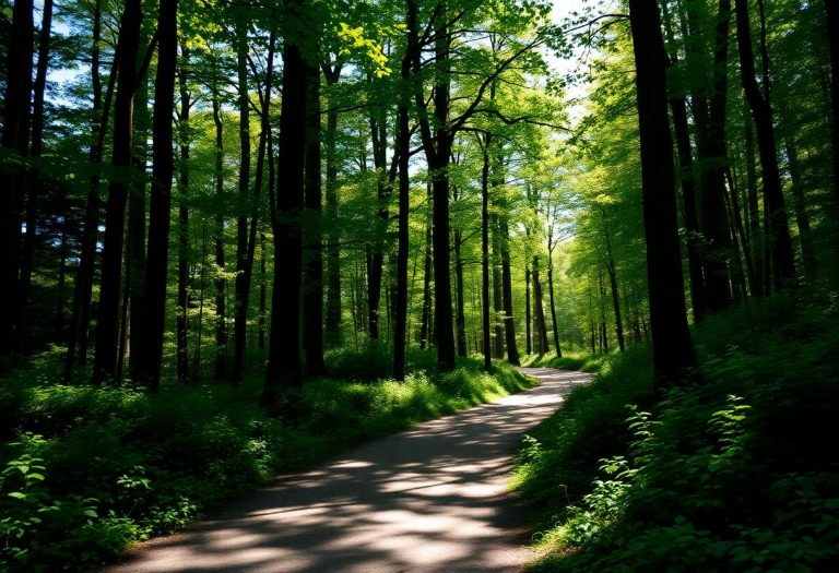 1216x832 11 19 00 31 179973924