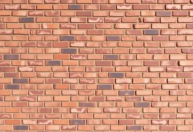 1216x832 24 11 00 32 518150476