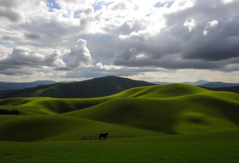 1216x832 28 11 30 23 341767319