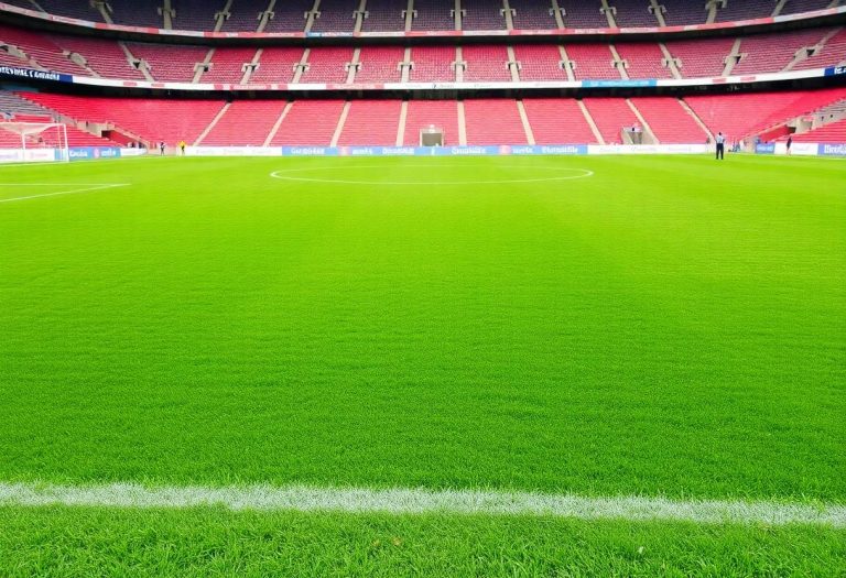 1216x832 31 07 45 24 65060548