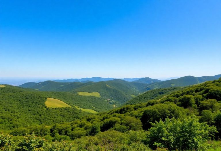 1216x832 09 15 30 16 12459998