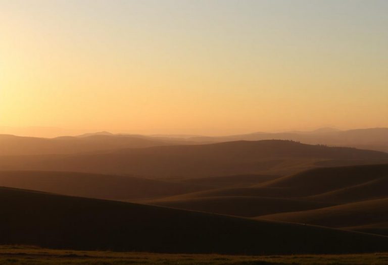 1216x832 15 21 15 25 698728274