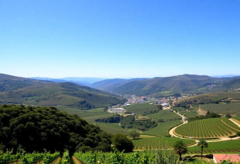 1216x832 24 11 45 17 435302768