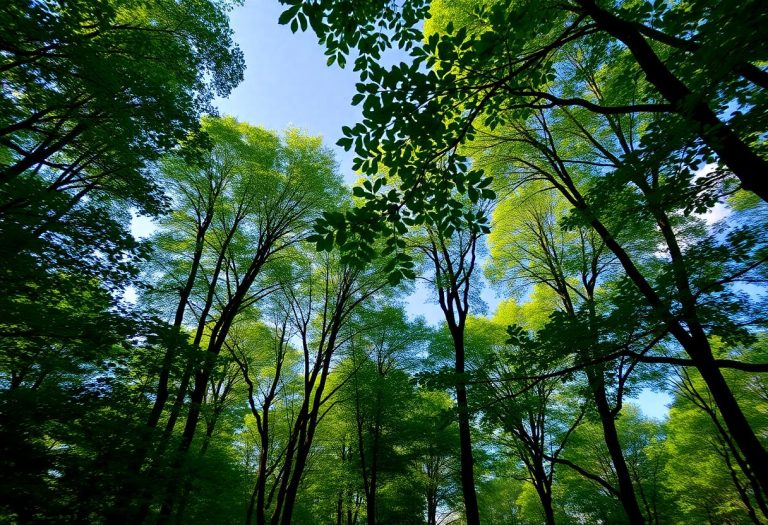 1216x832 25 21 00 21 375272137