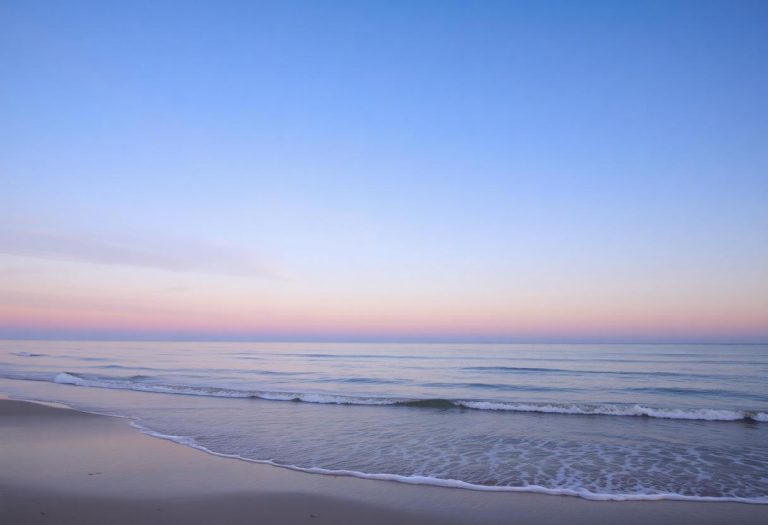 1216x832 25 23 11 51 831631677