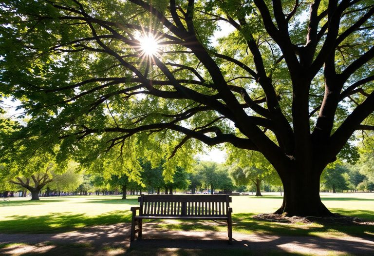 1216x832 08 14 00 26 943959849