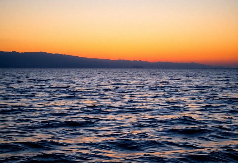 1216x832 08 18 45 25 761667773