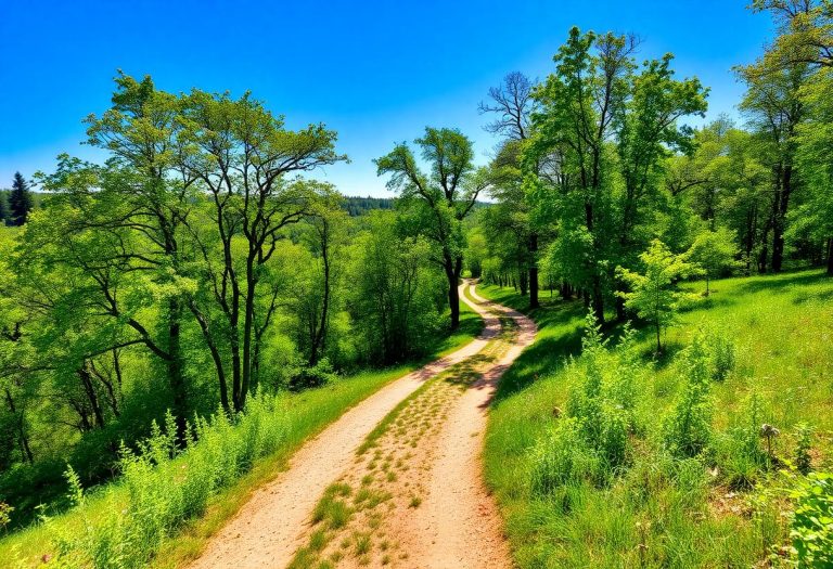 1216x832 10 16 30 25 885158226