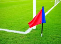 1216x832 13 17 15 21 910075514