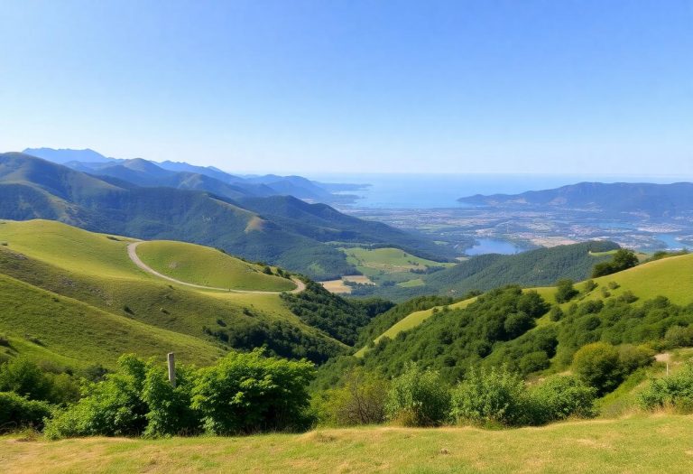 1216x832 15 16 57 31 588624734