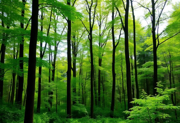 1216x832 15 22 00 24 113279104