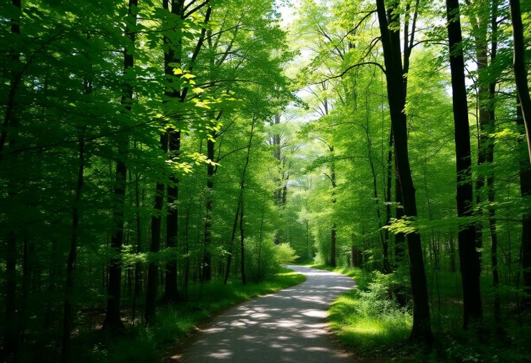 1216x832 16 14 45 23 362897328