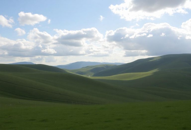 1216x832 21 20 00 25 575824828