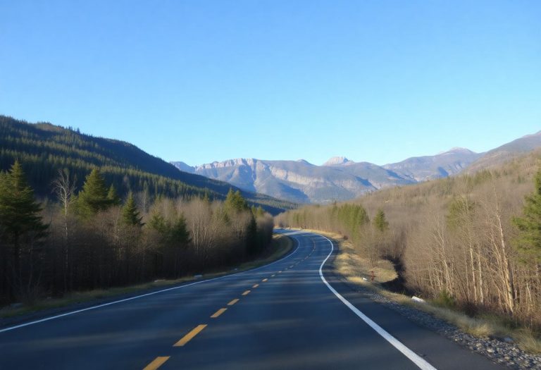 1216x832 29 08 45 18 456450121