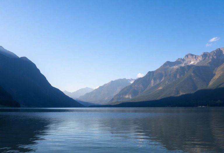 1216x832 29 15 45 20 6197848