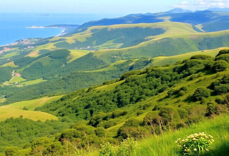 1216x832 03 11 00 17 266168627