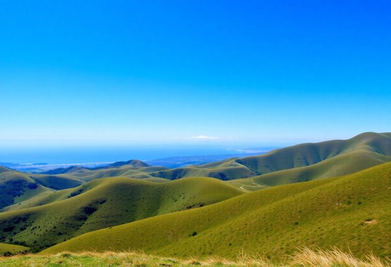 1216x832 18 11 00 17 626910487