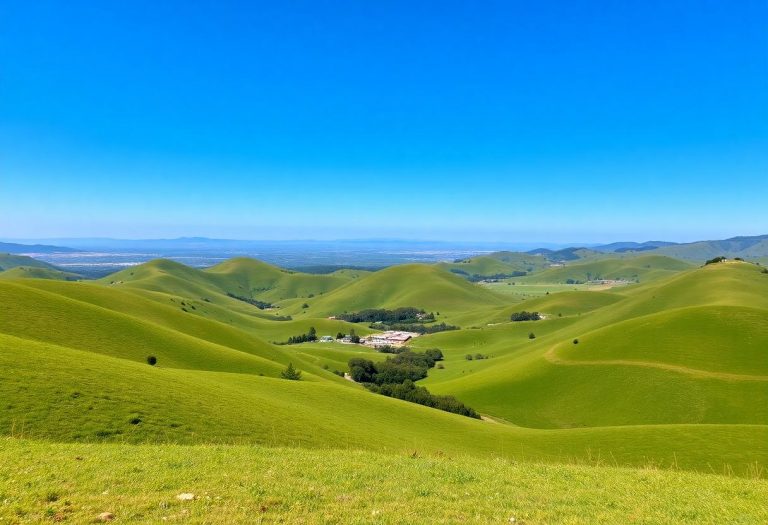 1216x832 19 08 15 18 244091566