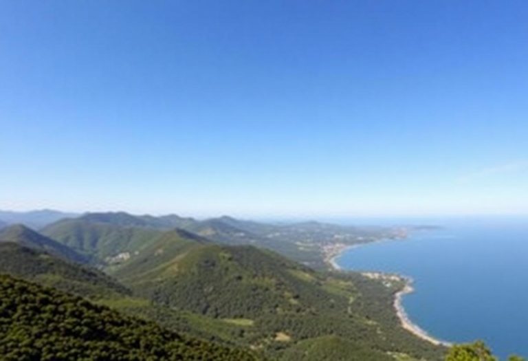 1216x832 23 23 45 15 825072486