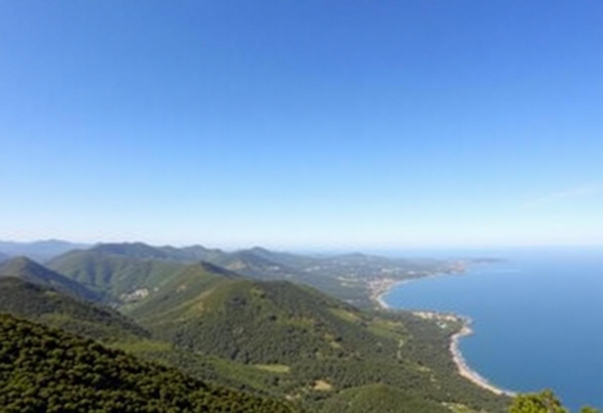 1216x832 23 23 45 15 825072486