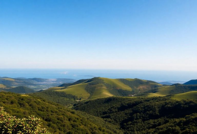 1216x832 25 11 00 17 881840268