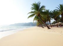 1216x832 26 09 15 20 886325378