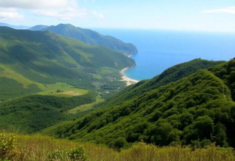 1216x832 28 06 45 14 110623916