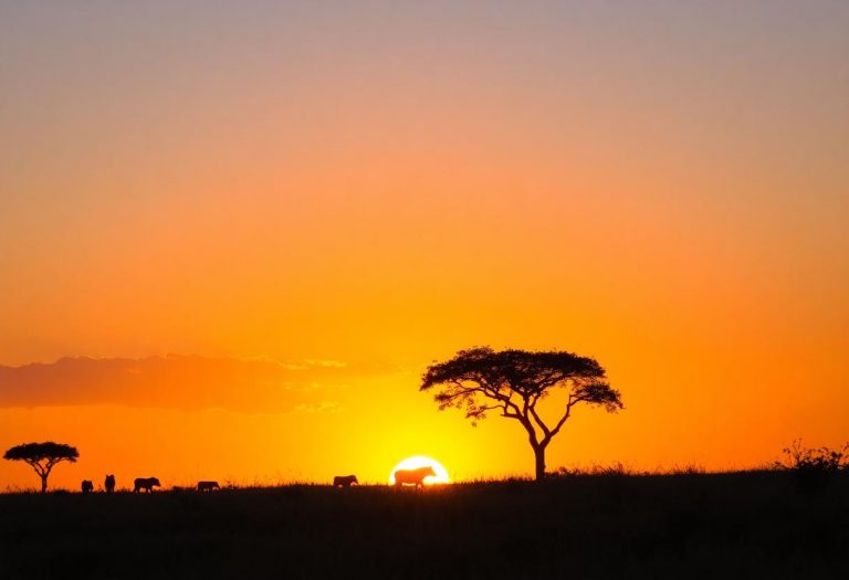 1216x832 11 10 45 23 235450774