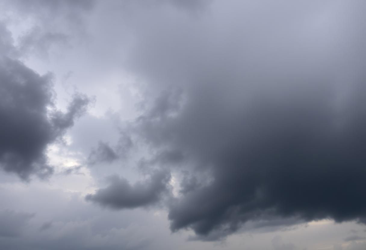 1216x832 12 14 30 23 481538103