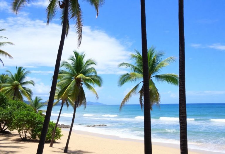 1216x832 13 20 15 23 478166499