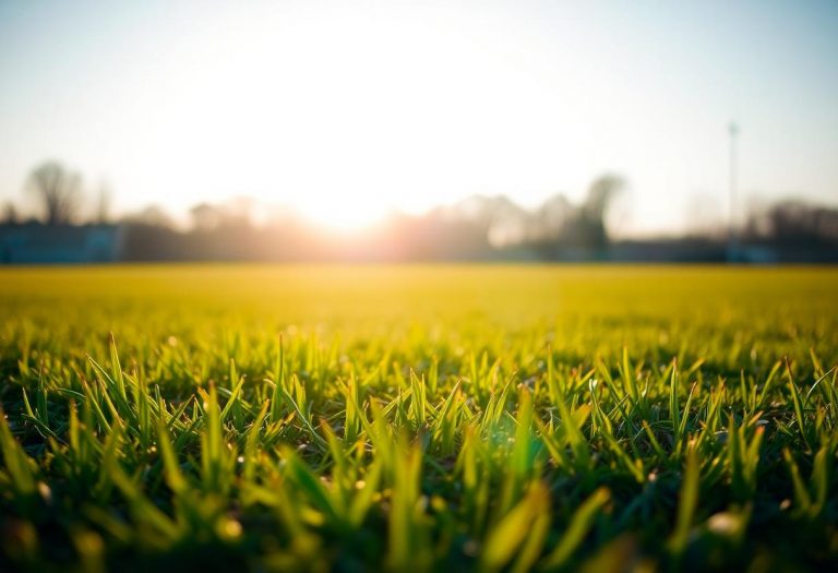 1216x832 14 15 45 39 853518447