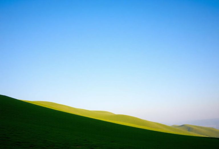 1216x832 16 23 15 24 588673706