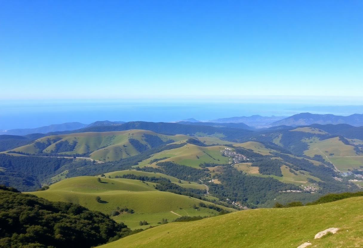 1216x832 25 04 45 15 372047221