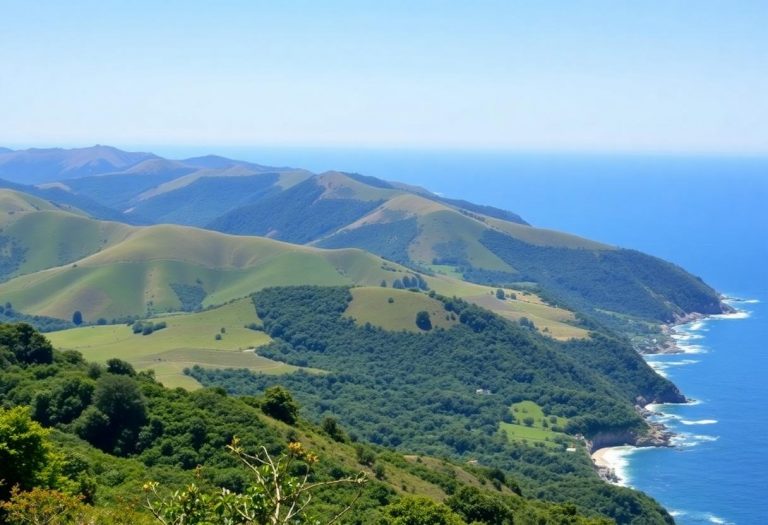 1216x832 06 06 45 16 318866690