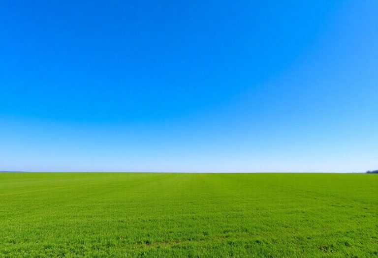 1216x832 22 23 00 24 332859845