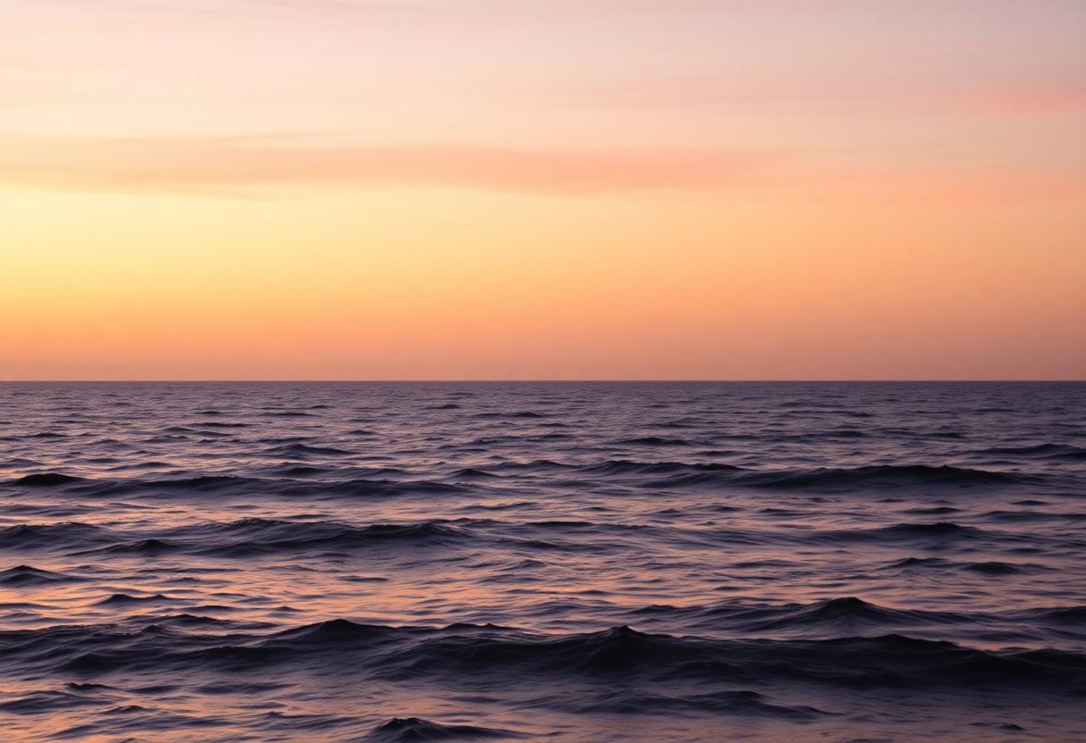 1216x832 28 12 15 22 639113393