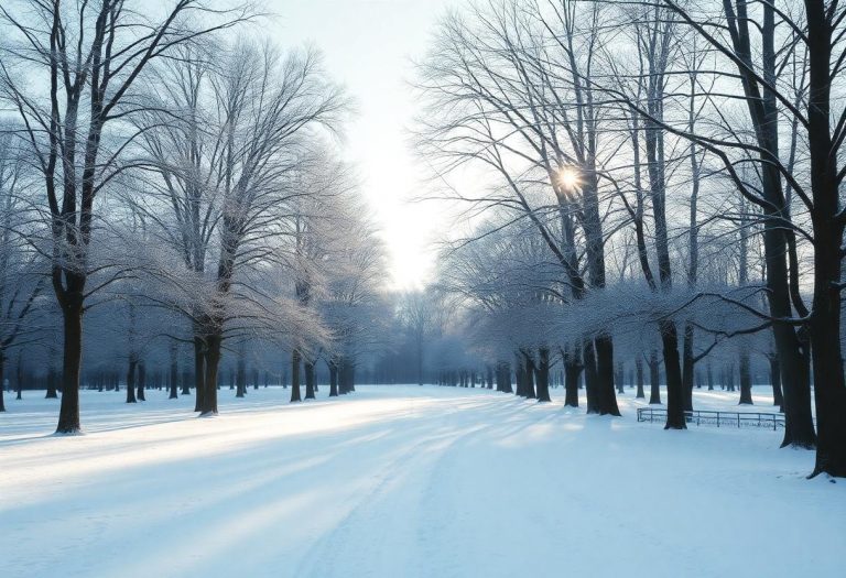 1216x832 29 15 15 20 51301317