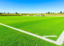 1216x832 30 16 30 23 212331463