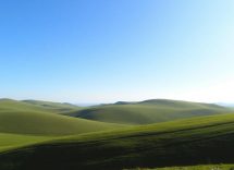 1216x832 31 08 45 18 282975306