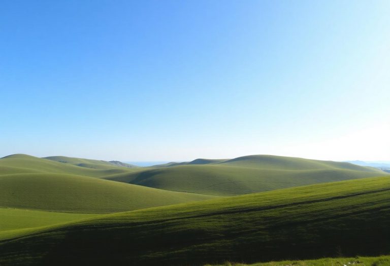 1216x832 31 08 45 18 282975306