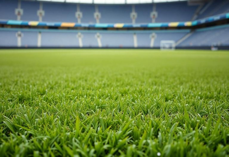 1216x832 31 11 30 25 250752451