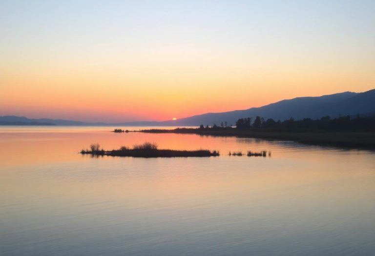 1216x832 03 22 45 18 938435163