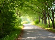 1216x832 06 14 15 23 885146801