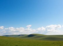 1216x832 08 10 15 23 965323023