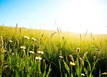 1216x832 11 17 15 18 108780356