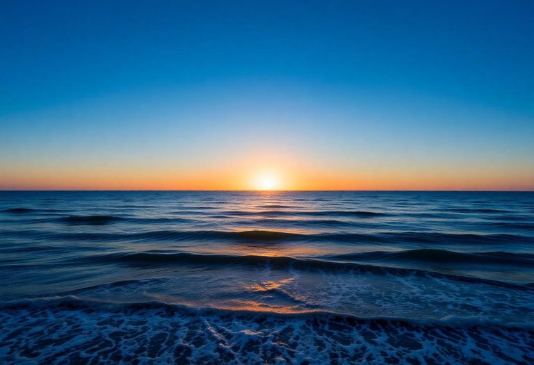 1216x832 11 18 00 19 762790528