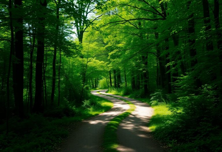 1216x832 12 14 45 29 15648842