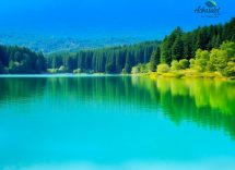 1216x832 20 01 30 21 837456919